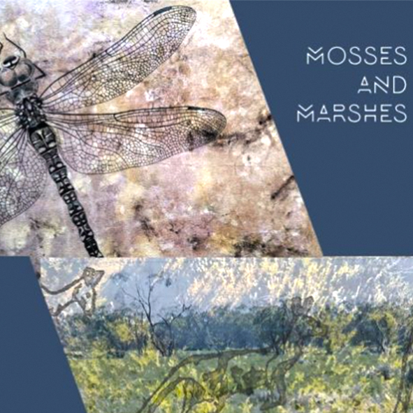 Mosses and Marshes International Discussion Panel