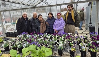 Homemade compost ‘supercharges’ garden plant growth