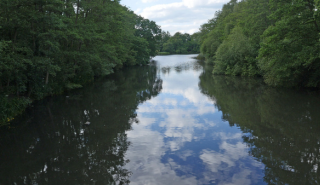 Reading retains top five sustainable universities ranking