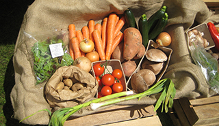 Food reform led by residents provides real health benefits