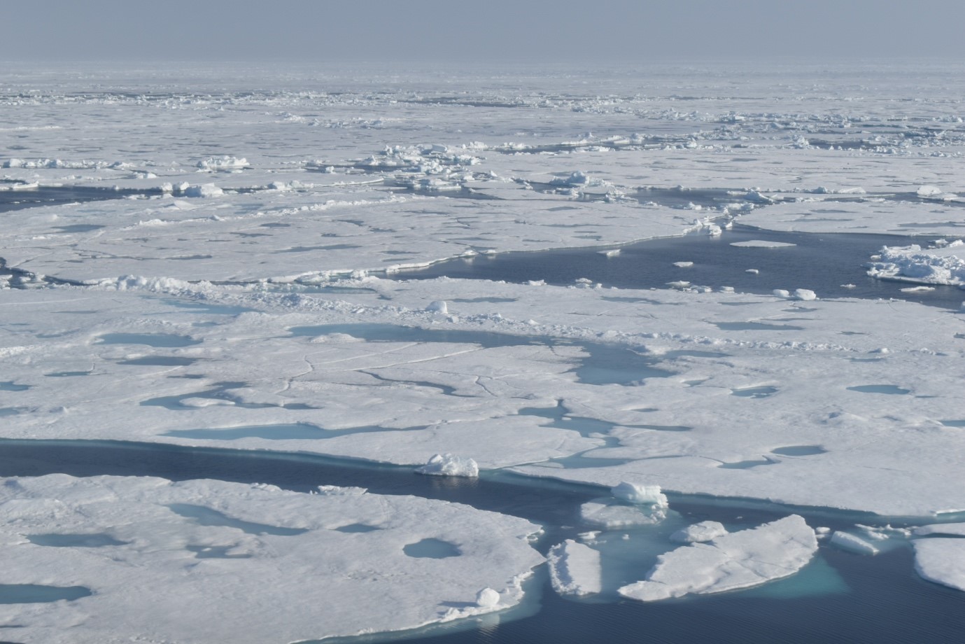 Exciting flight over Arctic sea ice in the Twin Otter