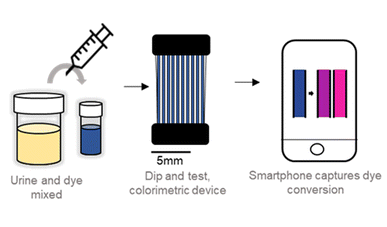 New paper: Moving microcapillary antibiotic susceptibility testing (mcAST) towards the clinic: unravelling kinetics of detection of uropathogenic E. coli, mass-manufacturing and usability for detection of urinary tract infections in human urine