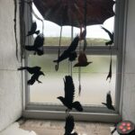 Silhouette of crows hang from a broken black umbrella hanging in a window