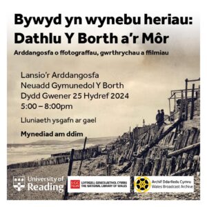 Promotional flyer for the exhibition event in Borth in 2024 - in Welsh