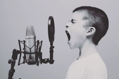 Why Do We Sing the Alphabet? Music and Language Processing in Autism Spectrum Disorder (ASD)