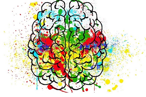 Learning languages for a healthy brain