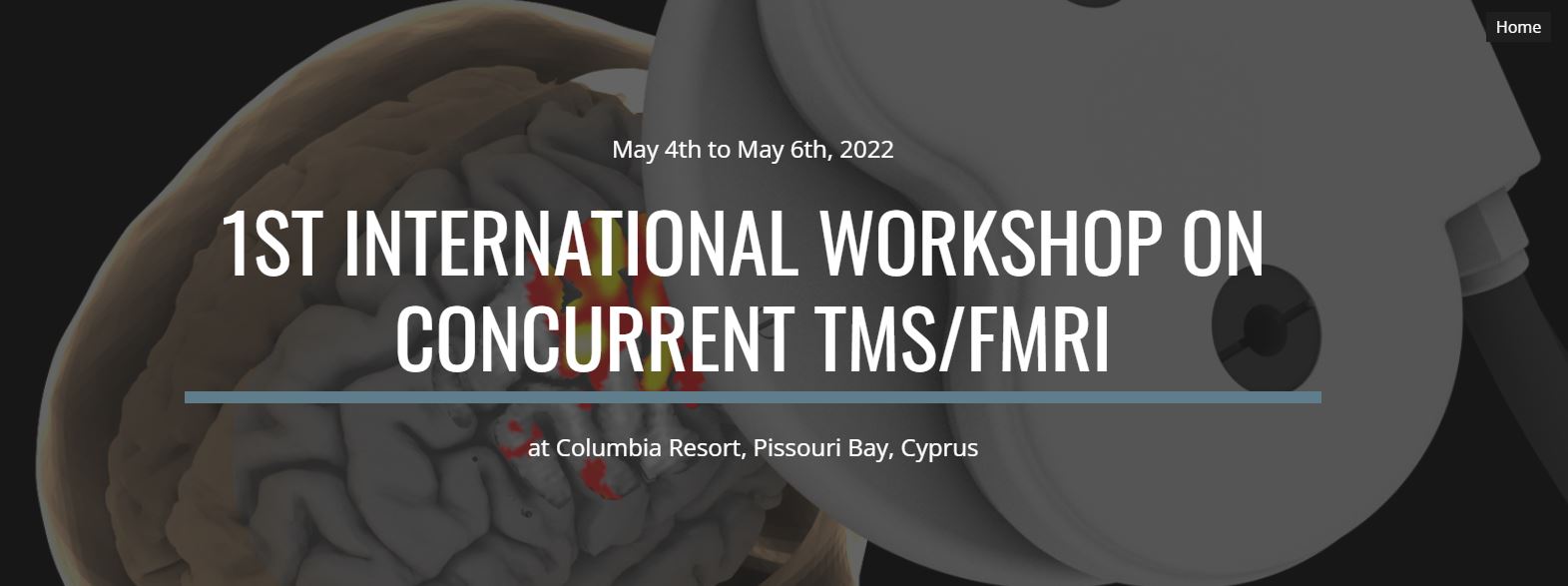 First International Workshop on Concurrent TMS-fMRI