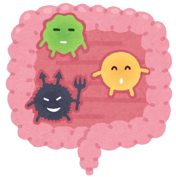 The Acute and Chronic Effects of Probiotic Supplementation on Depressive Symptoms and Neural Activation (PRODEP)