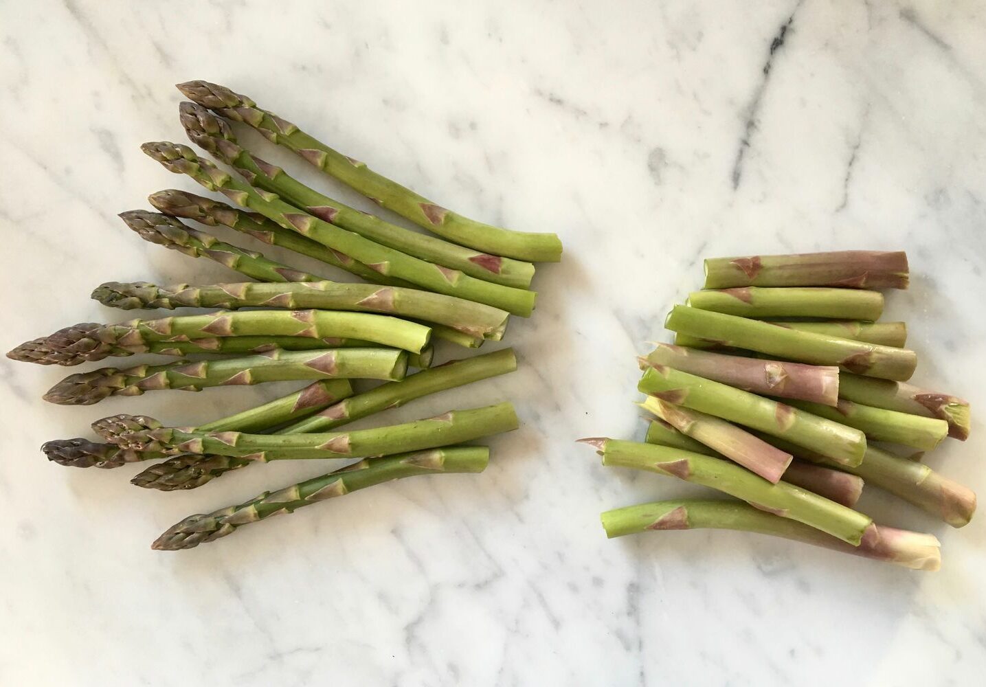 The impact of chronic consumption of ETAS® for 12 weeks on cognitive and neural outcomes (ETASCAB)