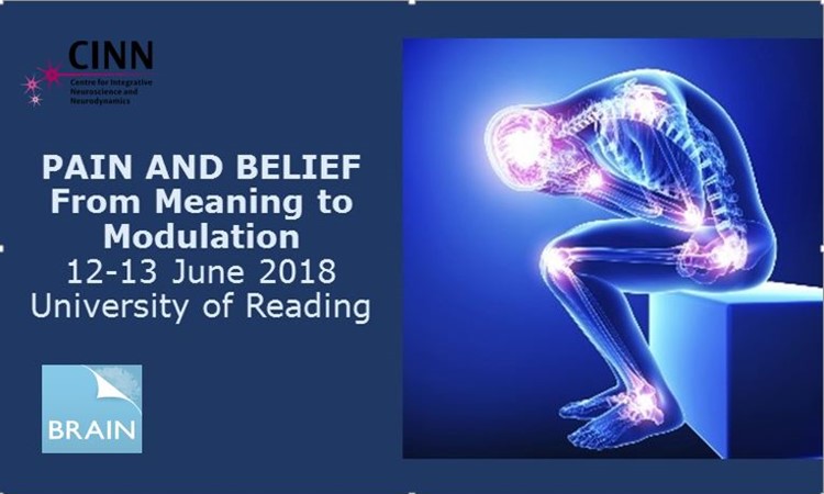 Reading Emotions 2018: Pain and belief