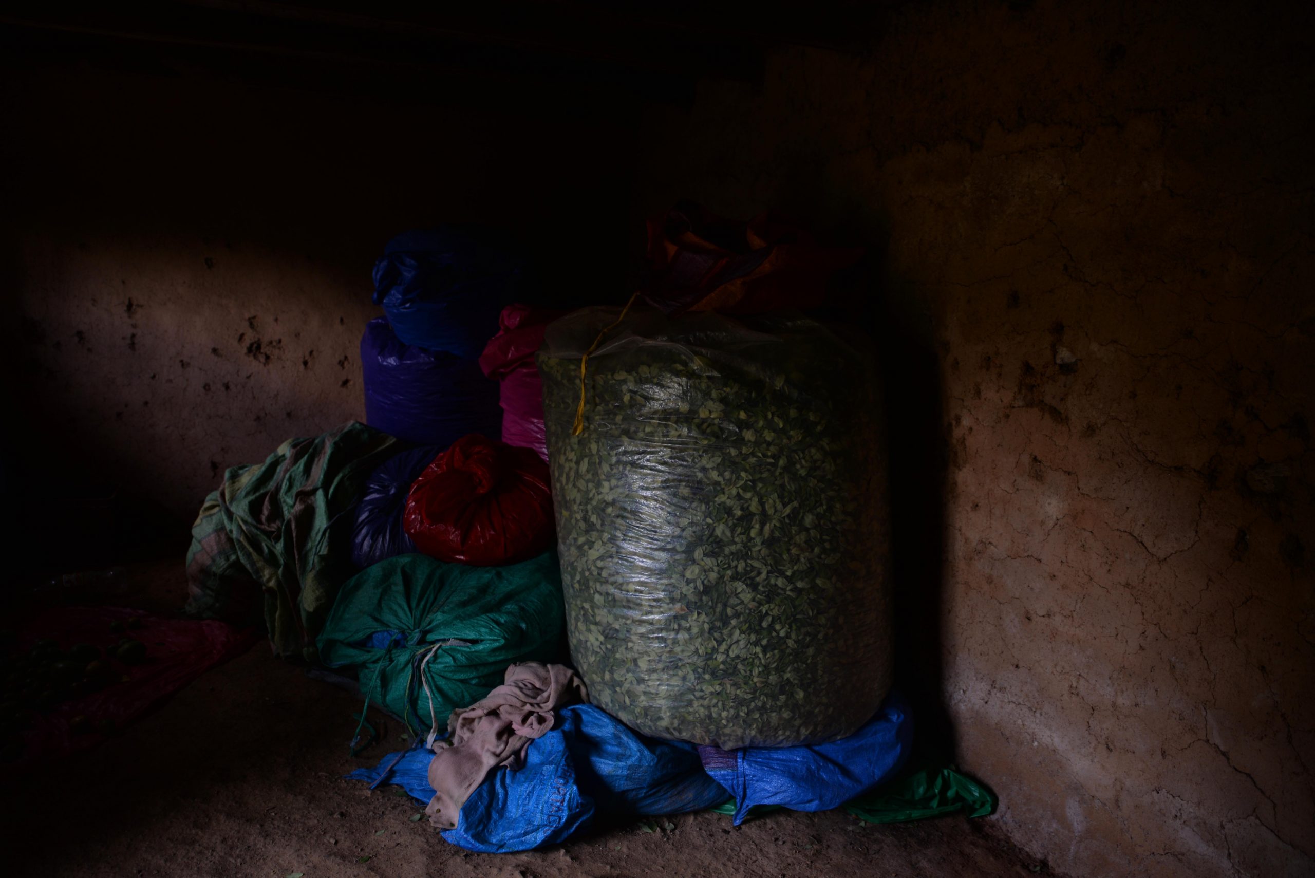 El control de cultivos de coca en el Perú: Repensando la erradicación y el control alternativo.