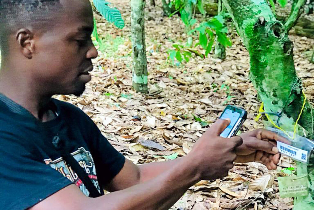 Scanning a tree label with a mobile phone