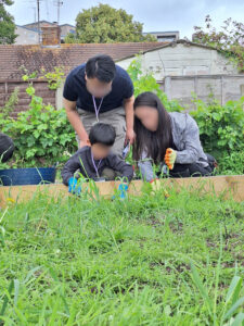 A family working in Reading Hongkongers' allotment during the CLRP.