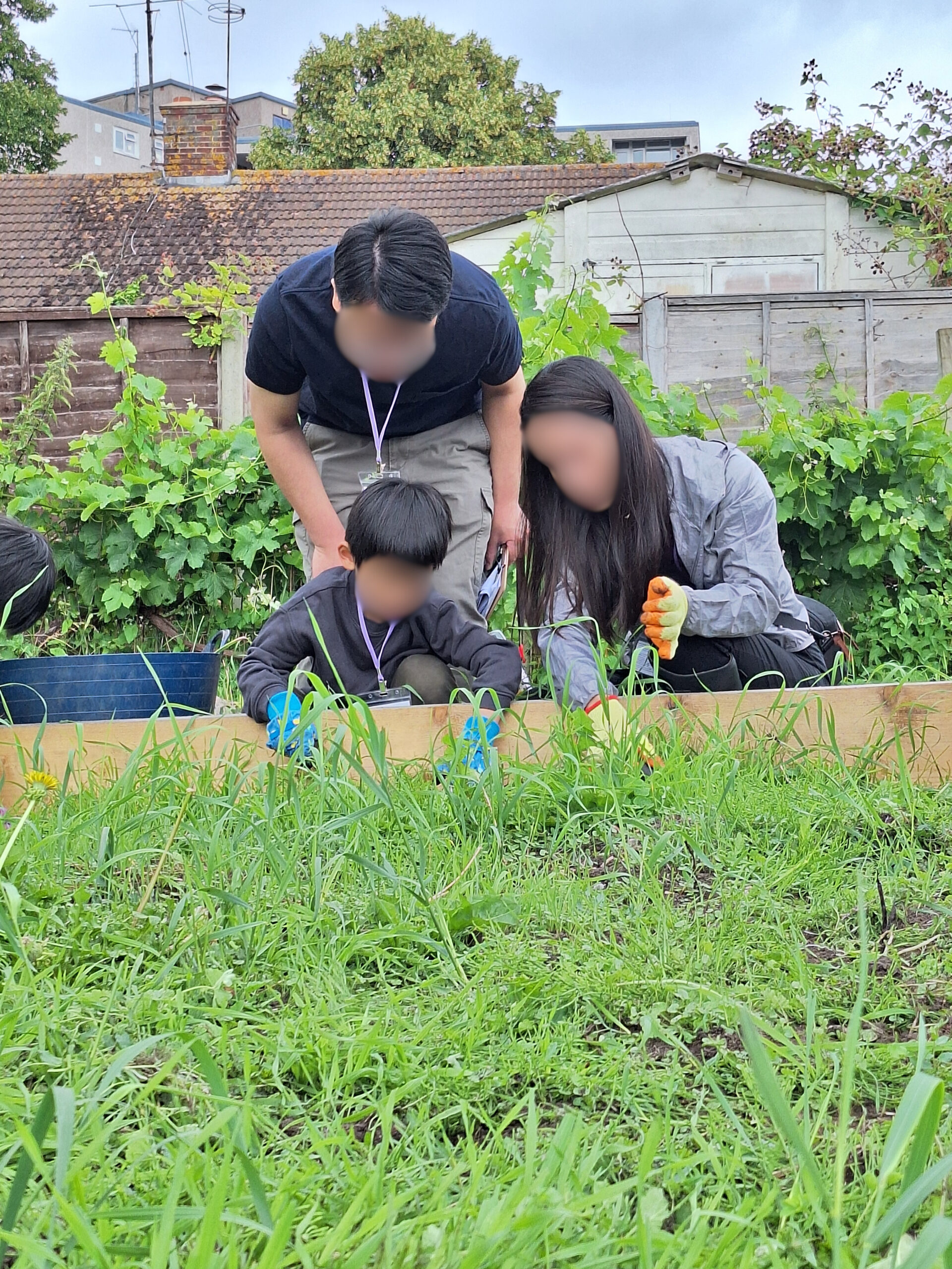 A family working in Reading Hongkongers' allotment during the CLRP.