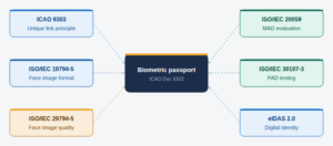 Illustration for: Algorithms That Explain Themselves: The Case for Explainable Biometric AI
