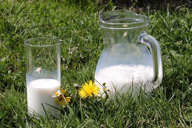 a jug and glass of milk in a grassy field