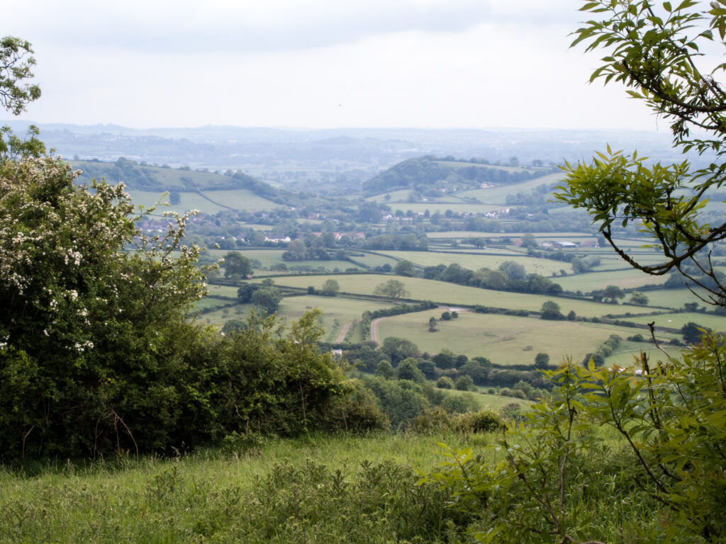 A rural landscape featuring hedgerows, trees and villages in the distance.