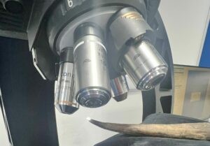 A wooden spear tip being looked at through a microscope