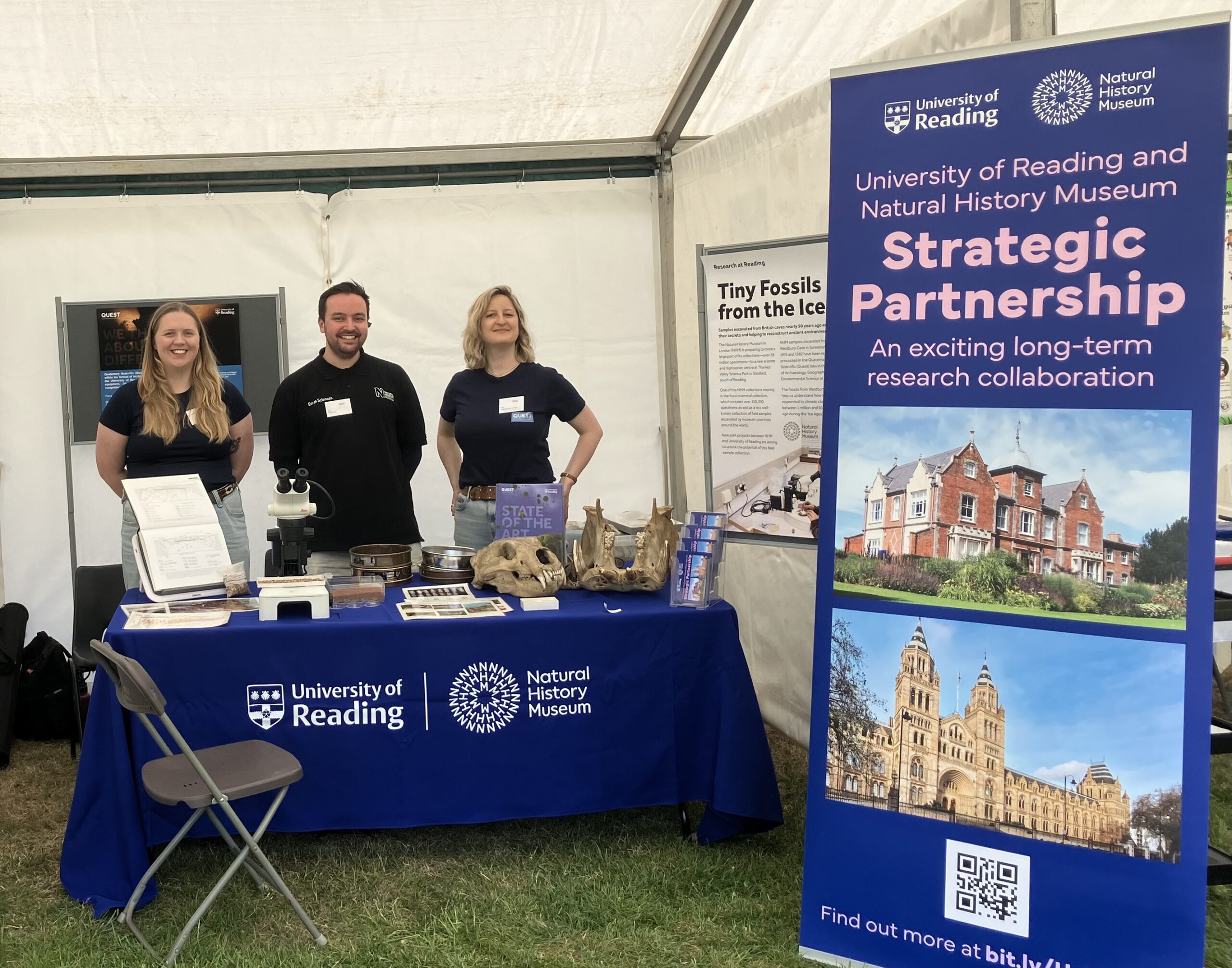 Analysing the Ice Age fossils of Westbury Cave