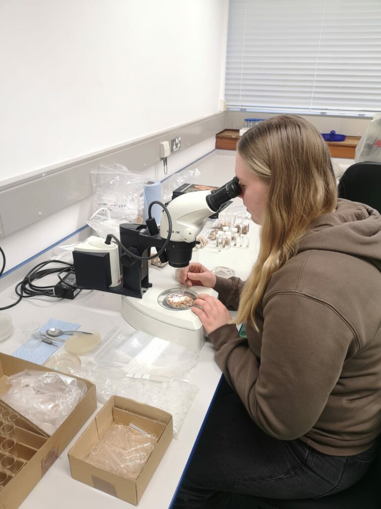 A woman in a hoody looking through a microscope at samples