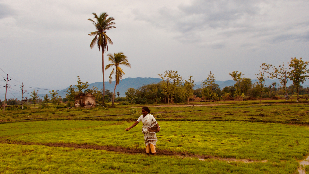 Building the case for natural farming in India