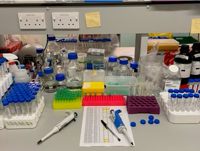 Role of Community Researchers on Biomarker work Blog