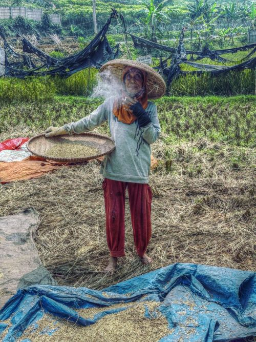 APD doctoral researcher wins Judges’ Choice in Research Image Competition