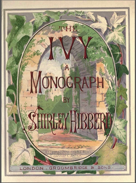 Illustrated frontispiece of The Ivy, a monograph by Shirley Hibberd showing a garland of variegated ivy leaves and the entrance gate of Conway castle.