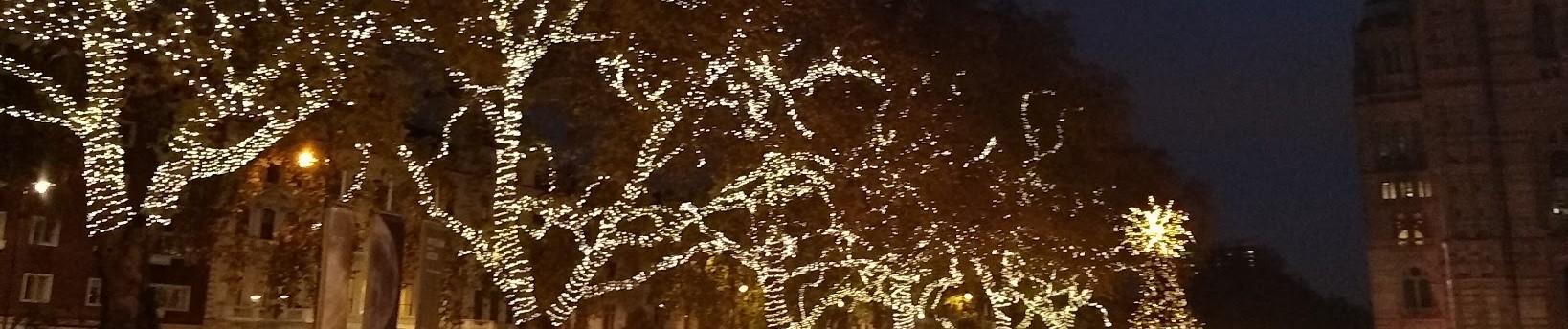 Outside the Natural Hiatory Museum, London: London plane trees on December night illuminated by numerous white bulbs.