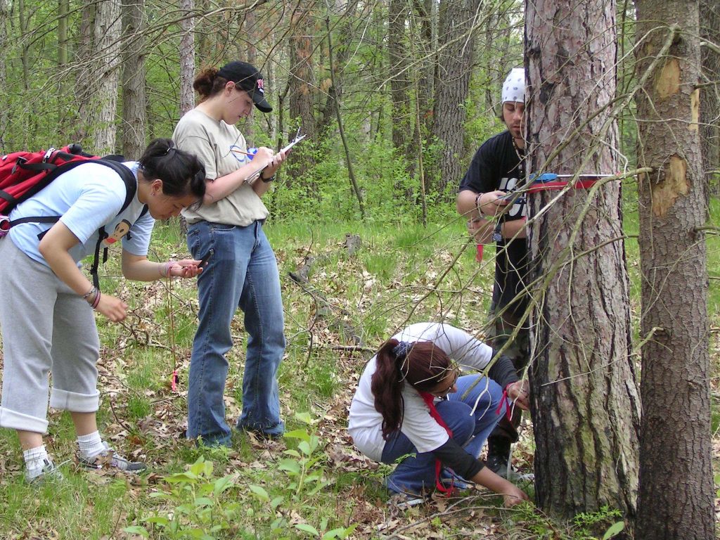 Figure 2. Students sampling the Black Oak Savanna plant community in Pinery Provincial Park
