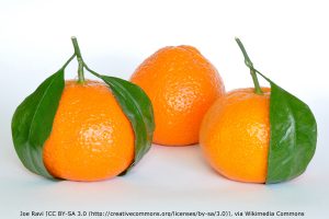 Three tangerines
