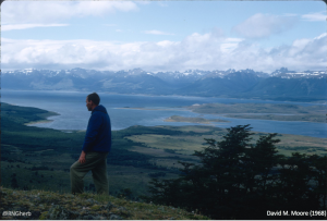 David Moore in Tierra del Fuego