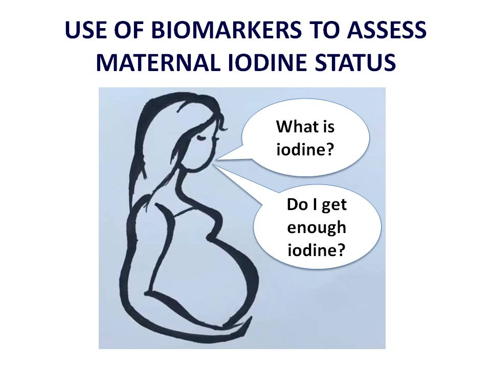 IFNH Lunchtime seminar: Use of biomarkers to assess maternal iodine status