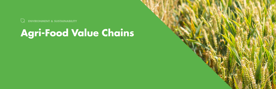 Agri-Food Value Chains