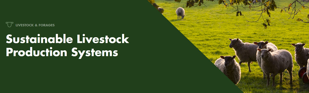 Sustainable Livestock Production Systems