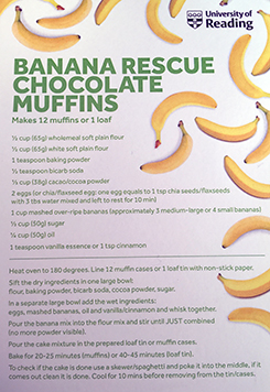 IFNH at the Berkshire Show 2018 banana rescue chocolate muffins 