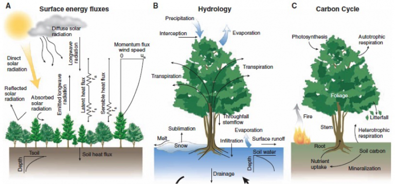 About - Land Surface Processes Group