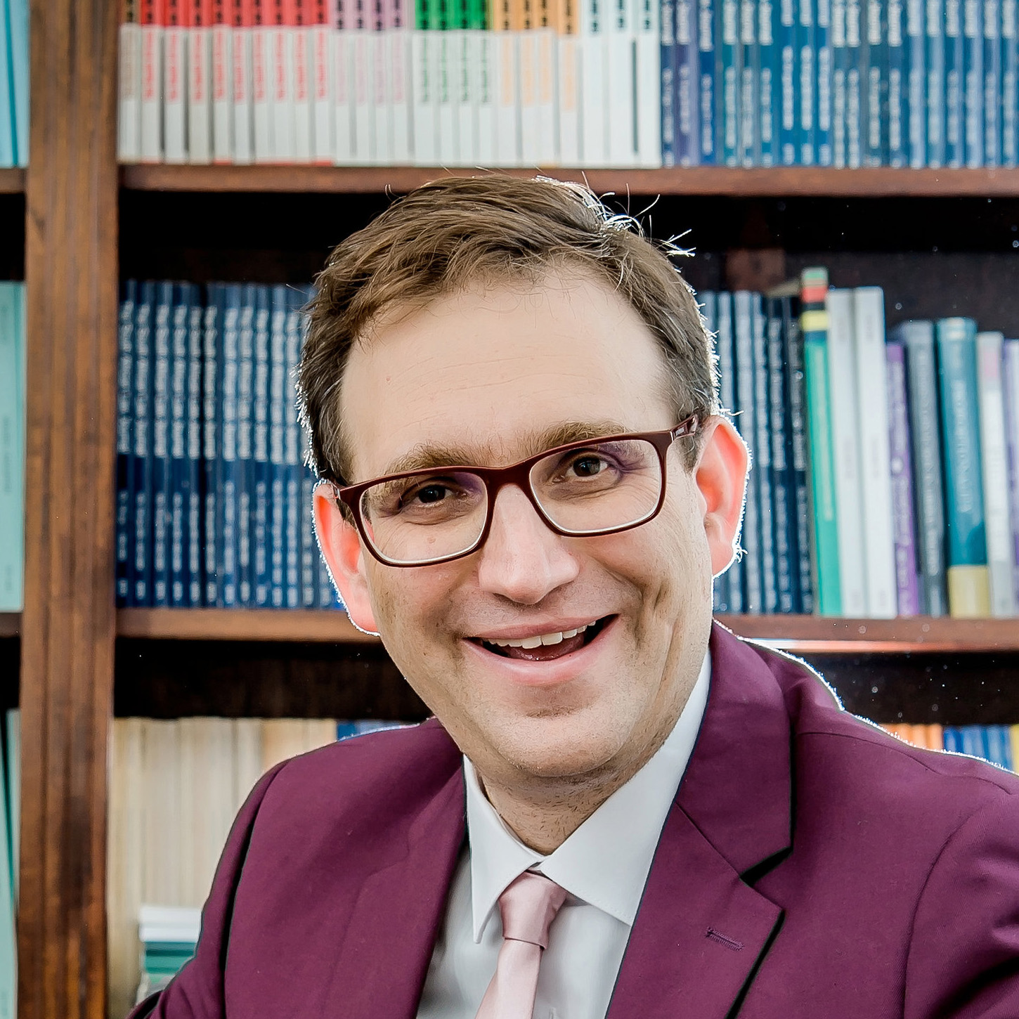 David Bilchitz