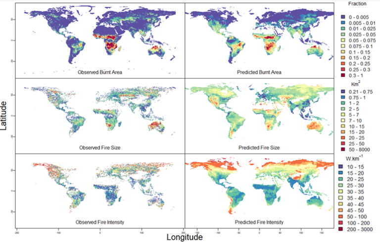 Furthering our understanding of the global patterns of burnt area, fire ...