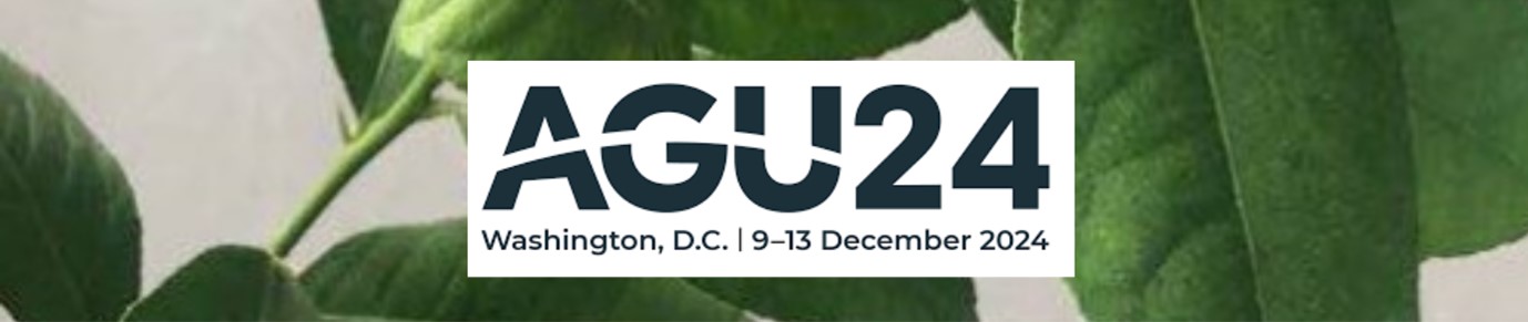 LEMONTREE at AGU24: Exploring “What’s Next for Science”