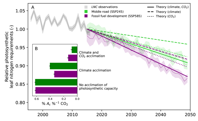 Leaf Nitrogen Declines: What European Forests Reveal About CO₂ Acclimation and Ecosystem Resilience