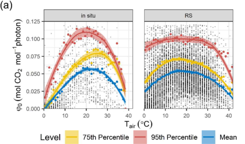 Environmental Controls on Photosynthetic Efficiency: New Insights from Global Ecosystem Data