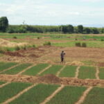 Photo Agricultural land Madagascar