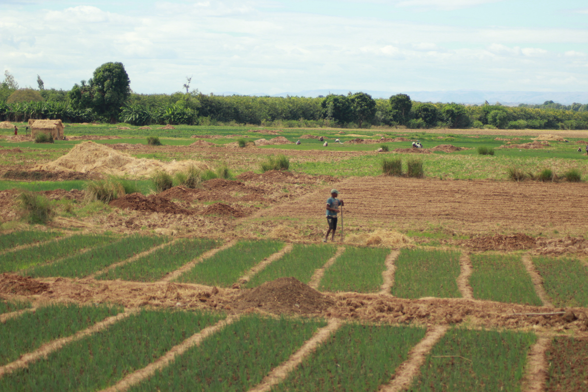 Photo Agricultural land Madagascar
