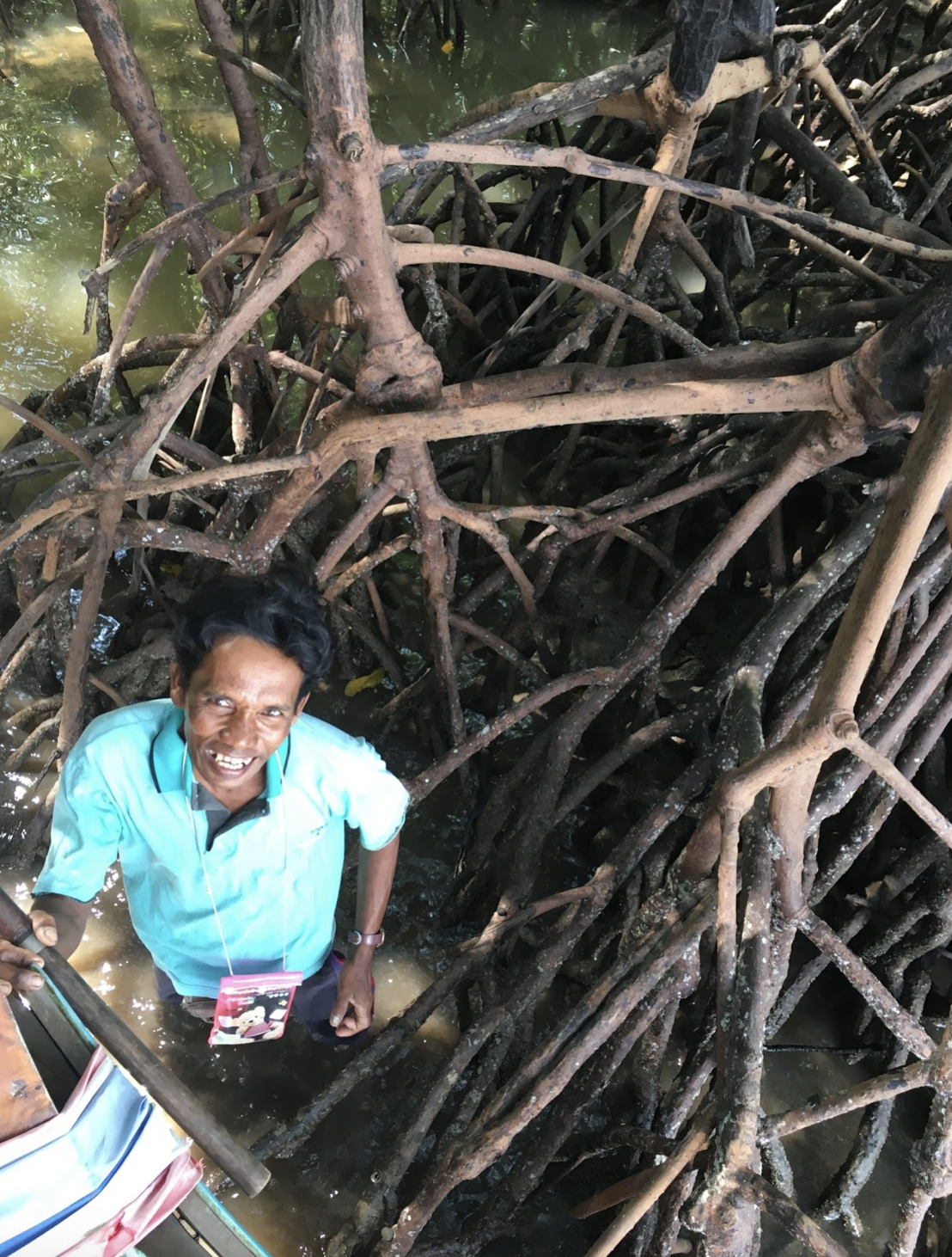“Every mangrove forest is like a safe home for marine animals”: Why mangroves are important for tropical communities