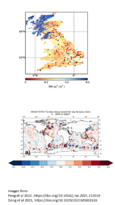 Scientific figures relating to soil moisture in the Uk and ocean reanalyses