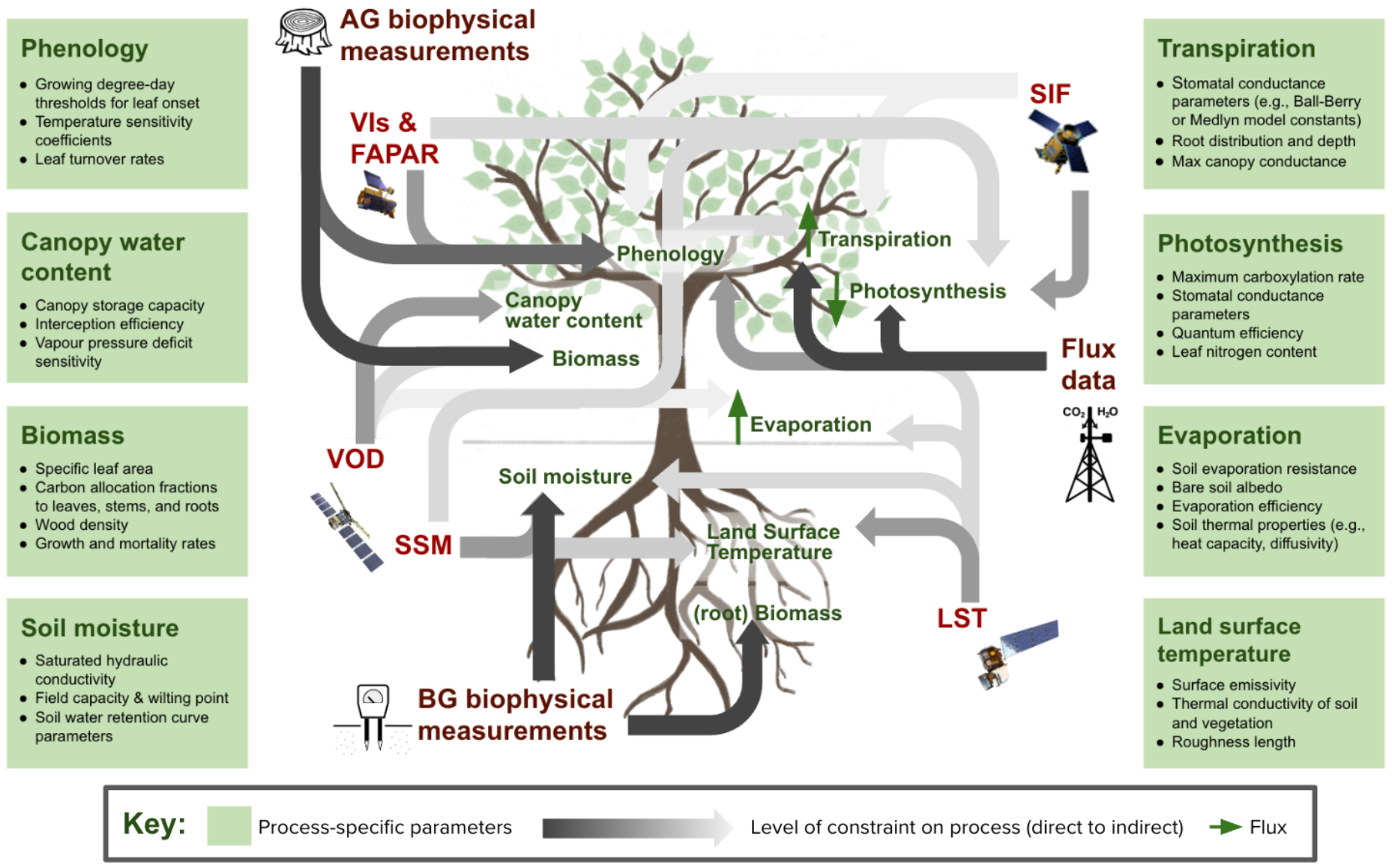 Figure 1: Conceptual schematic illustrating how various in situ and satellite products can be used to constrain different processes, thereby enabling the calibration of each process's parameters.