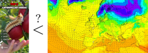 A screenshot from a "YouTube Short" which shows the “Top 5 Caterpillar Videos” generated by an AI video model (left), and an AI generated forecast of 2m temperature and 10m wind from ECMWF (right).