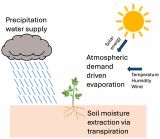 pictrure of crop drought