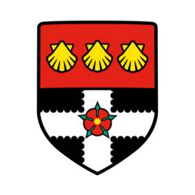 university university
